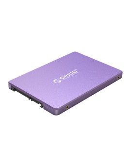 H110 Raptor 2.5 Inch SATA3.0 SSD 120/240/480/960 GB Purple